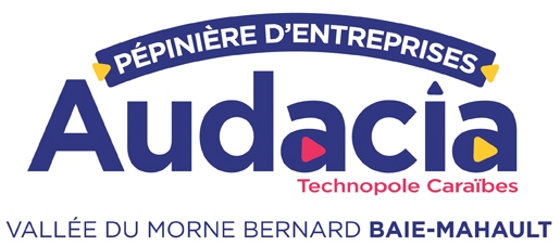 AUDACIA_PEPINIERE_logo_RVB_BD